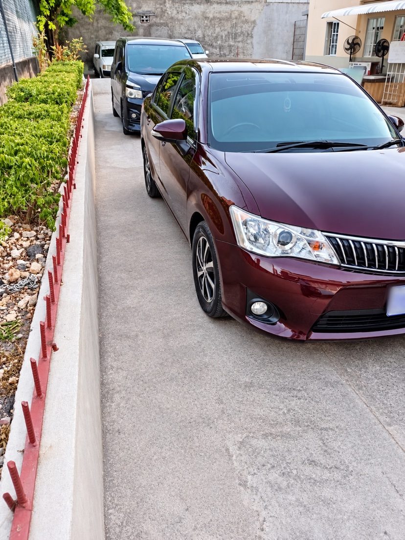 2014 Toyota Axio photo 1